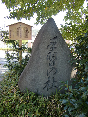 CIMG0684