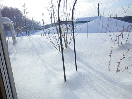 IMGP0136