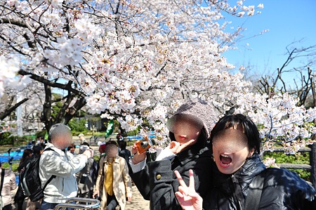 2012/4 Cherry blossom＠千鳥ヶ淵-15