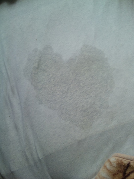 娘のオネショが画いた奇跡の一枚 写真共有サイト フォト蔵