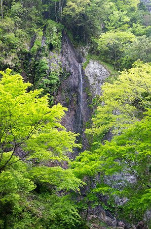 布滝　2012.5.7