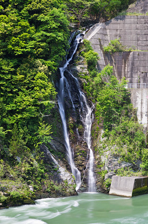 お滝　2012.5.7-1