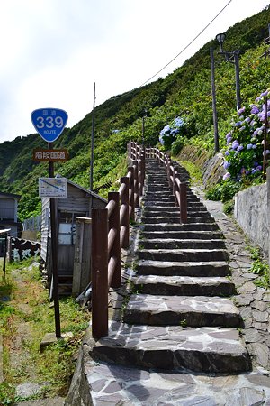 階段国道R339下側