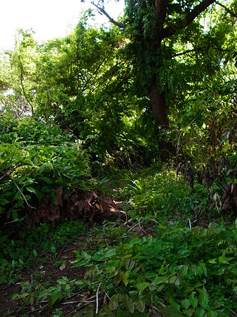 R0014216