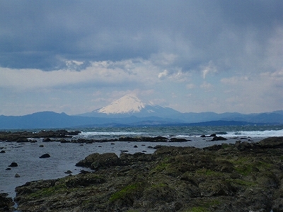 IMGP2655