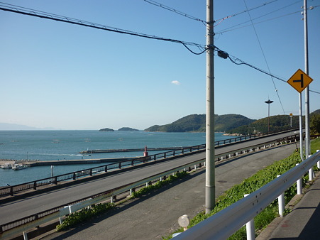 P1010553