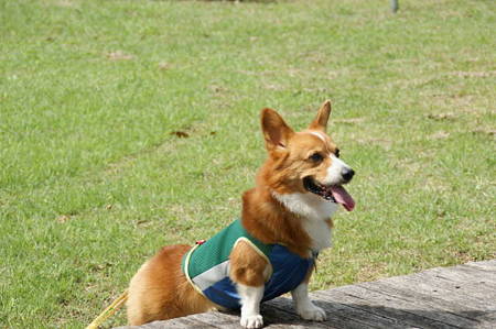 DSC03144