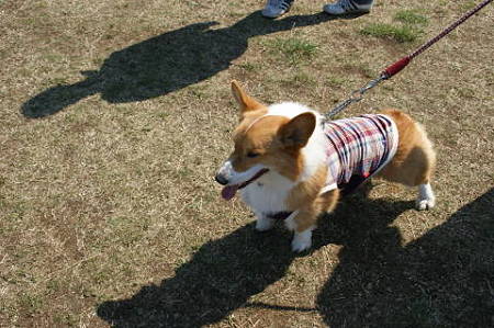 DSC05024