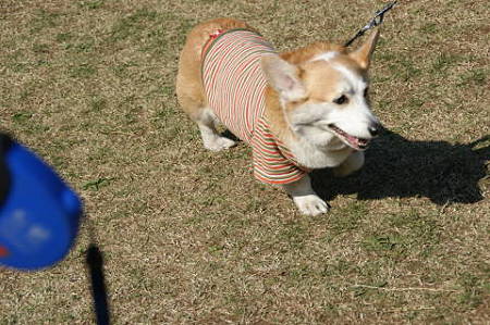 DSC05037