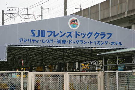 DSC05164