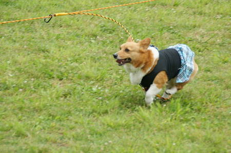 DSC00870