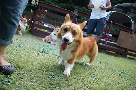 DSC02070
