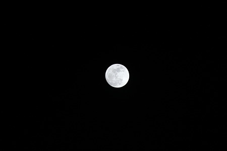 IMG_2858