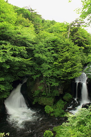 P05竜頭の滝