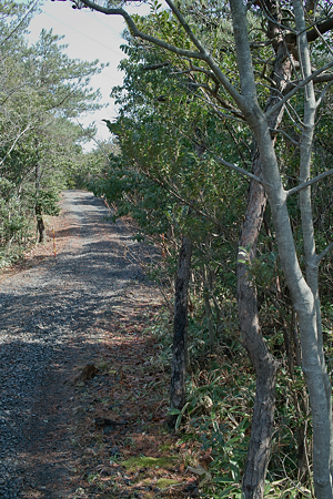 path03142012dp2