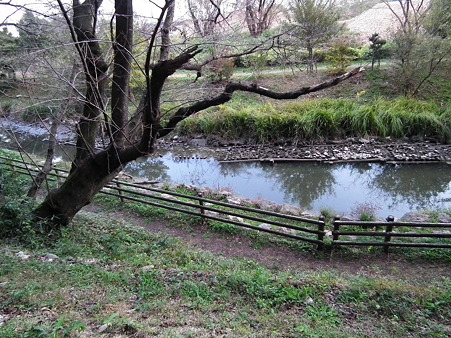 DSCF4153