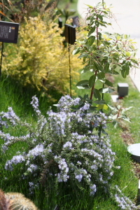 2012 Apr.5 6