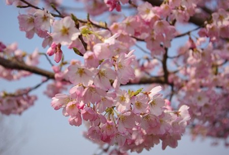 IMGP1426_0408b