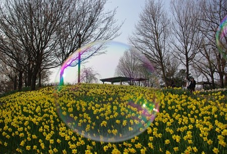 IMGP1504_0408b