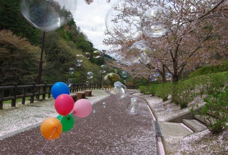IMGP3562_0421