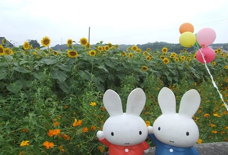DSCF6421_0714
