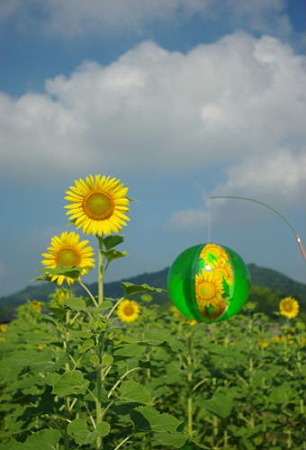 IMGP8325_0717