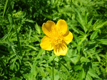 IMGP8512