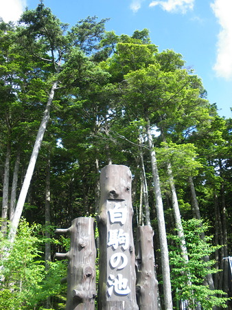 IMGP8556