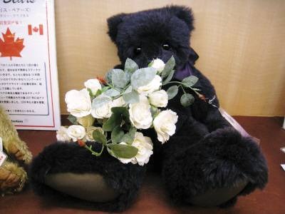大きな足のテディ
