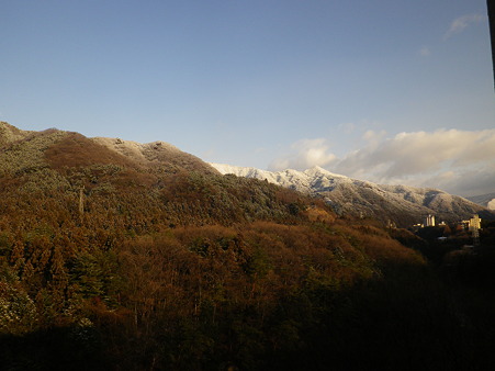 IMGP0877