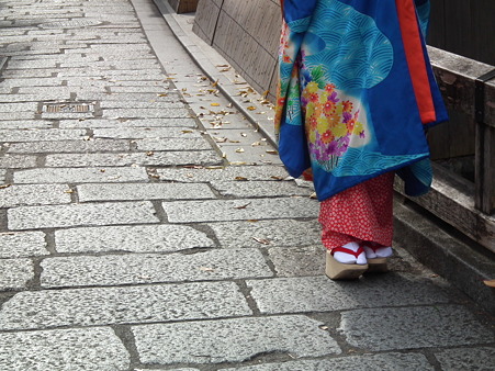 京都2 244