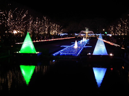 昭和記念公園 218