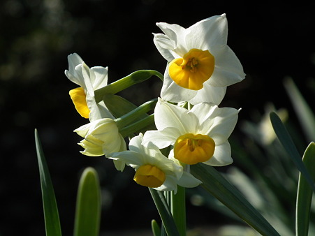 DSCF0359