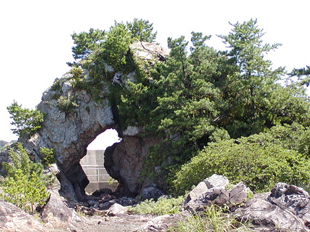 P8100018