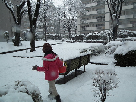 DSCF0049