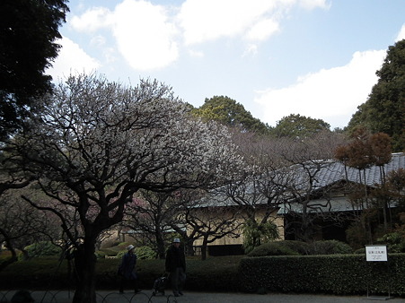DSCF0301