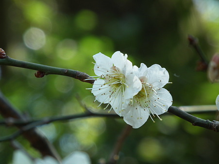 DSCF0021