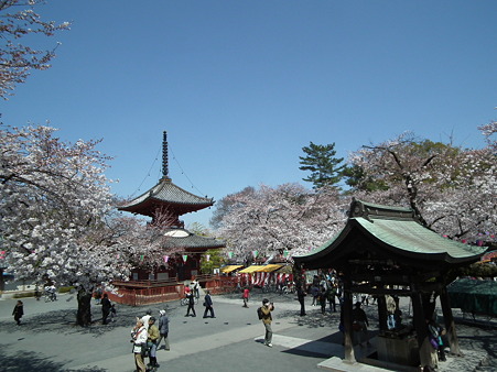 DSCF0079