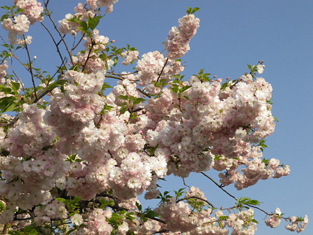 IMGP0026