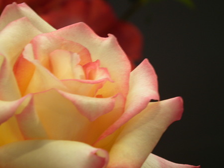 DSCF0813