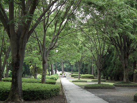 DSCF0009