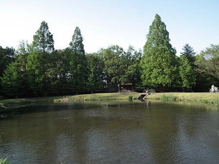 DSCF0652