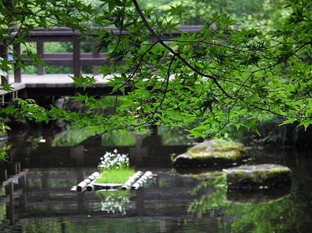 昭和記念公園 195