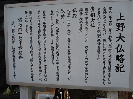 寛永寺 上野大仏略記