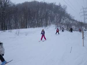 IMGP0587_R