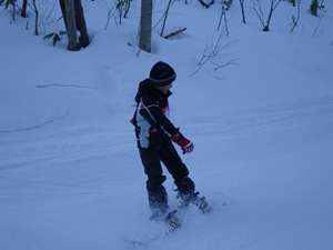 IMGP0794_R