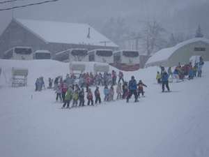 IMGP0932_R