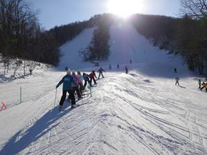 IMGP2060_R