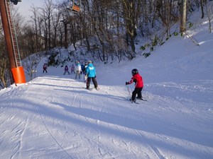 IMGP2350_R