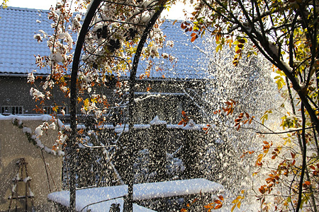 20120203_3797
